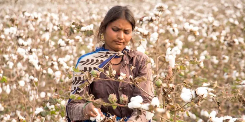 Communist Party of India opposes proposal to remove cotton import duty and restrict exports